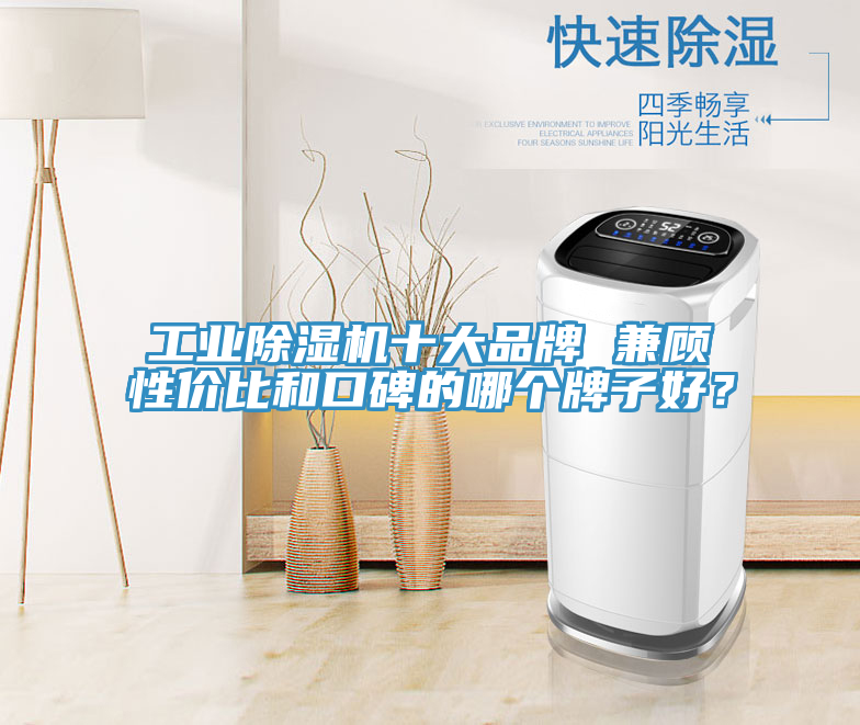 工業91看片软件大全十大品牌 兼顧性價比和口碑的哪個牌子好？