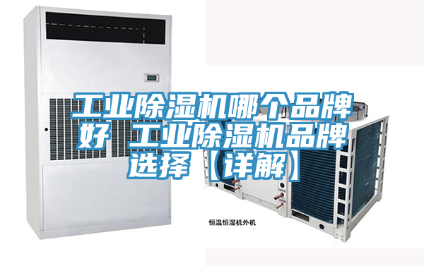 工業91看片软件大全哪個品牌好 工業91看片软件大全品牌選擇【詳解】