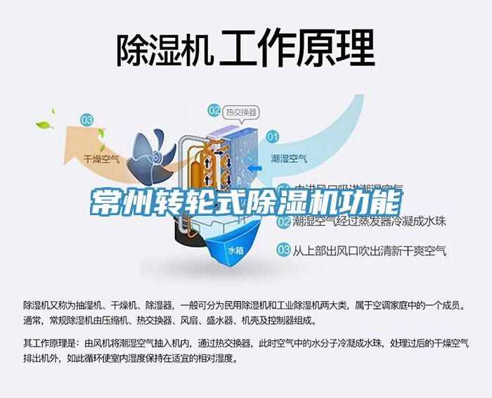 常州轉輪式91看片软件大全功能