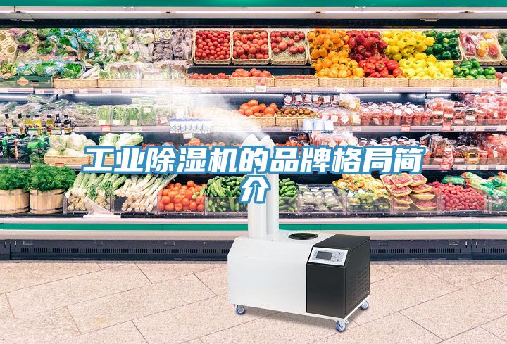工業91看片软件大全的品牌格局簡介