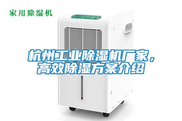 杭州工業91看片软件大全廠家，高效除濕方案介紹