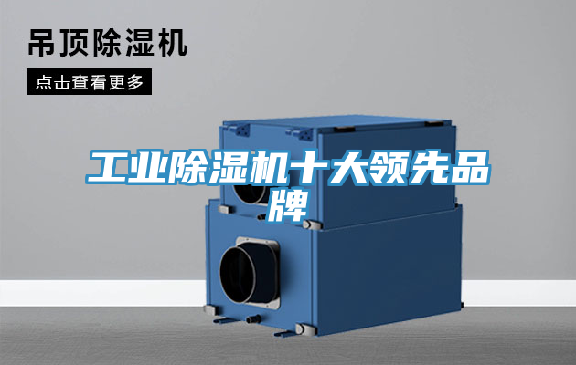 工業91看片软件大全十大領先品牌