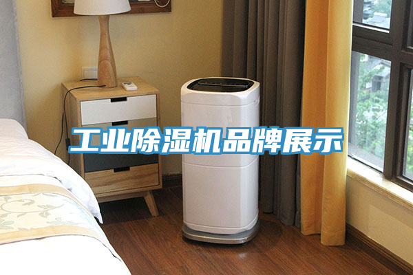 工業91看片软件大全品牌展示