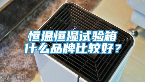 恒溫恒濕試驗箱什麽品牌比較好？