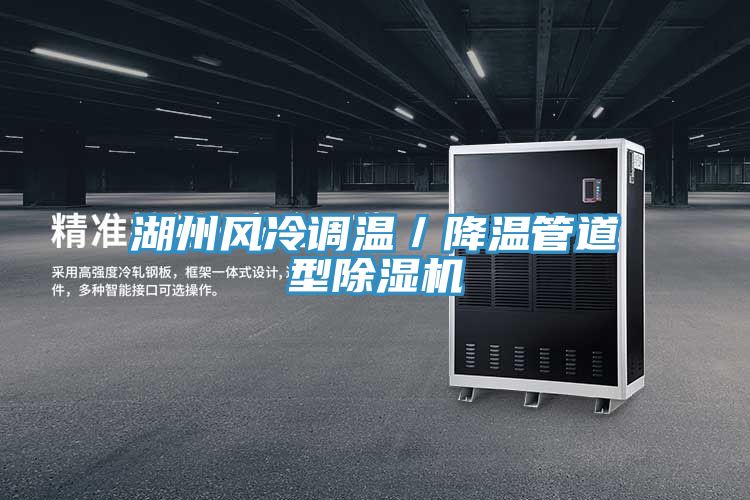 湖州風冷調溫／降溫管道型91看片软件大全