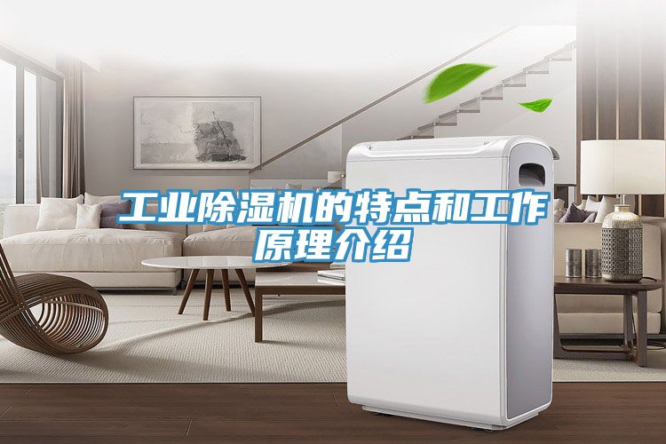 工業91看片软件大全的特點和工作原理介紹
