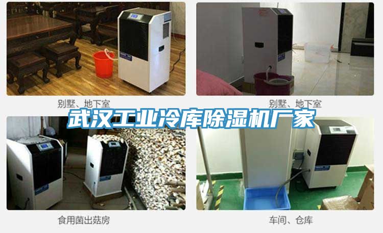武漢工業冷庫91看片软件大全廠家