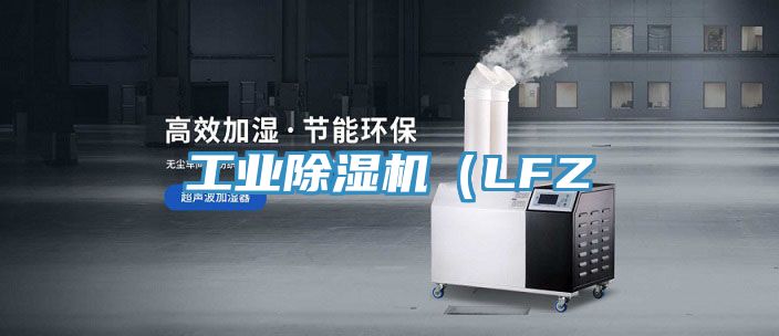工業91看片软件大全（LFZ