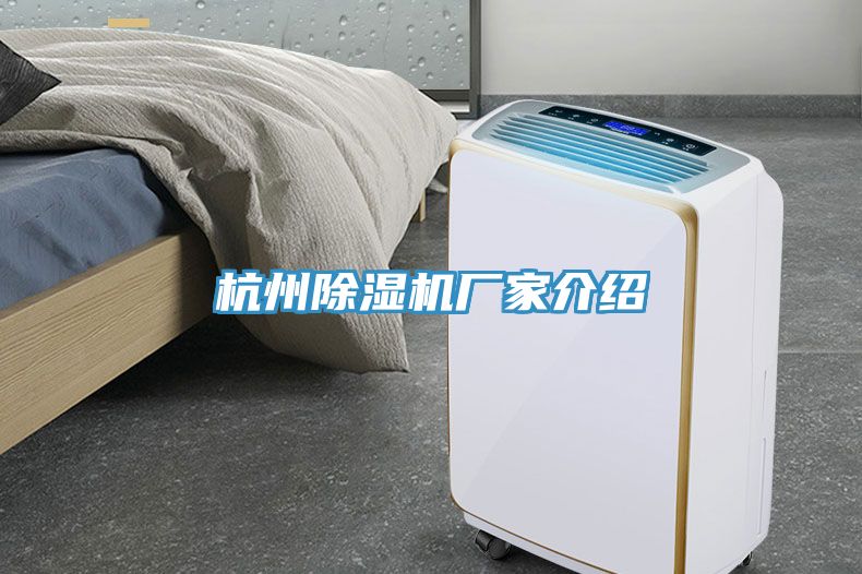 杭州91看片软件大全廠家介紹