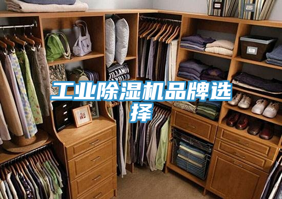 工業91看片软件大全品牌選擇