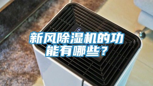 新風91看片软件大全的功能有哪些？