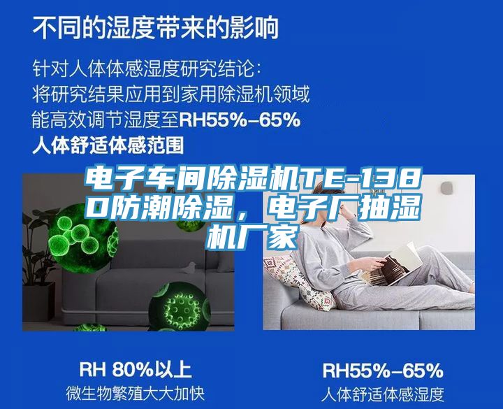 電子車間91看片软件大全TE-138D防潮除濕，電子廠抽濕機廠家