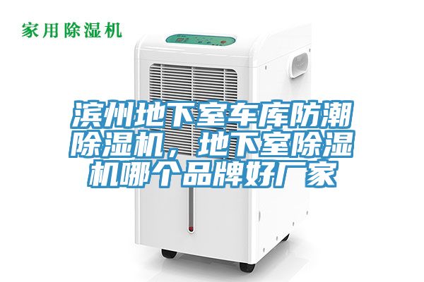 濱州地下室車庫防潮91看片软件大全，地下室91看片软件大全哪個品牌好廠家