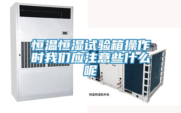 恒溫恒濕試驗箱操作時91AV手机看片應注意些什麽呢