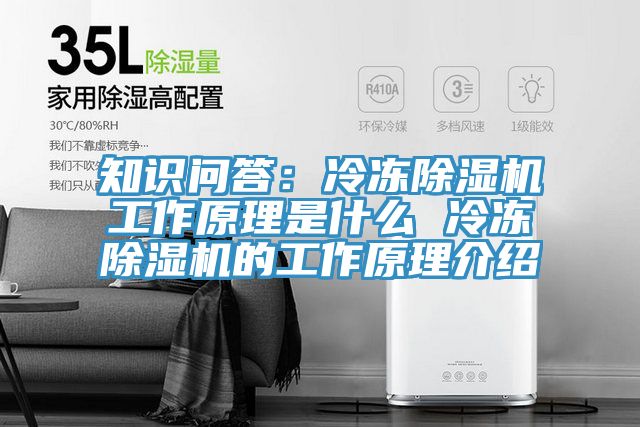 知識問答：冷凍91看片软件大全工作原理是什麽 冷凍91看片软件大全的工作原理介紹