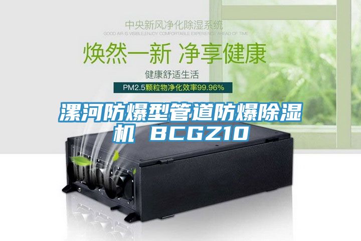 漯河防爆型管道防爆91看片软件大全 BCGZ10