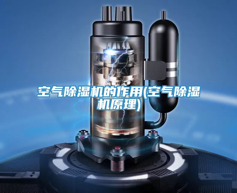 空氣91看片软件大全的作用(空氣91看片软件大全原理)