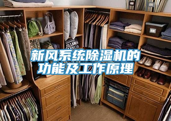 新風係統91看片软件大全的功能及工作原理