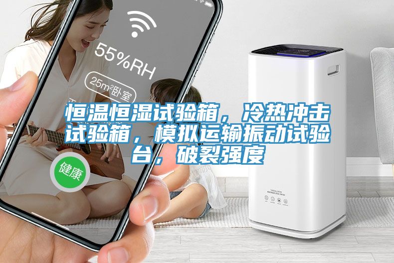 恒溫恒濕試驗箱，冷熱衝擊試驗箱，模擬運輸振動試驗台，破裂強度