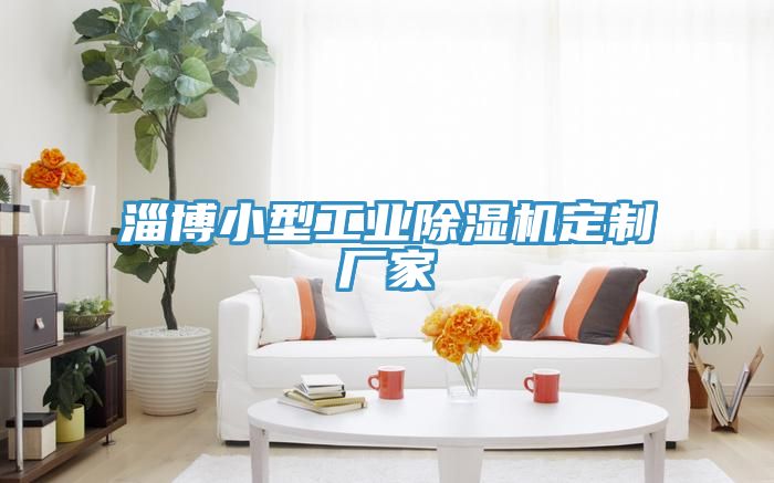 淄博小型工業91看片软件大全定製廠家