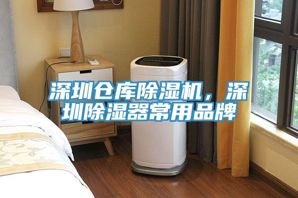 深圳倉庫91看片软件大全，深圳除濕器常用品牌