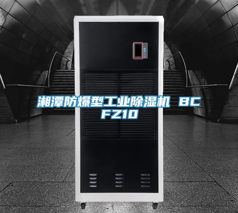 湘潭防爆型工業91看片软件大全 BCFZ10