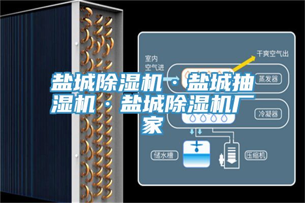 鹽城91看片软件大全·鹽城抽濕機·鹽城91看片软件大全廠家