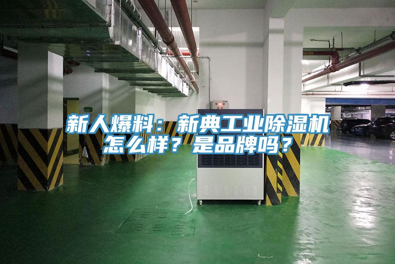 新人爆料：新典工業91看片软件大全怎麽樣？是品牌嗎？