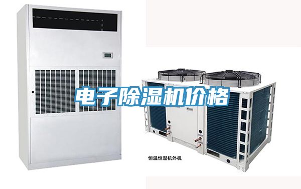 電子91看片软件大全價格