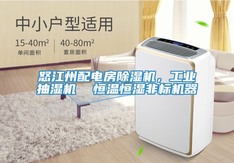 怒江州配電房91看片软件大全，工業抽濕機  恒溫恒濕非標機器