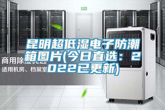 昆明超低濕電子防潮箱圖片(今日直選：2022已更新)