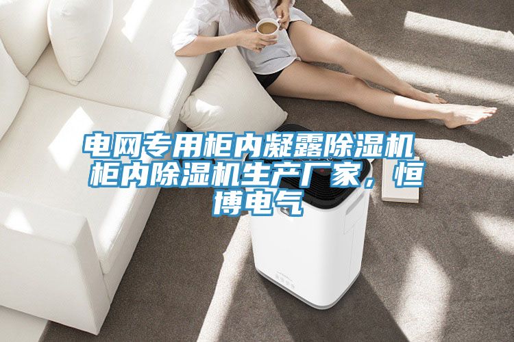 電網專用櫃內凝露91看片软件大全 櫃內91看片软件大全生產廠家，恒博電氣