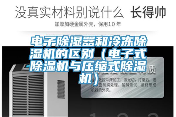 電子除濕器和冷凍91看片软件大全的區別（電子式91看片软件大全與壓縮式91看片软件大全）