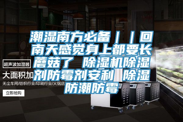 潮濕南方必備｜｜回南天感覺身上都要長蘑菇了 91看片软件大全除濕劑防黴劑安利 除濕防潮防黴