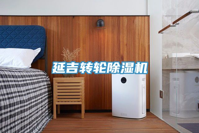 延吉轉輪91看片软件大全