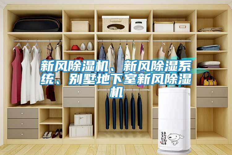 新風91看片软件大全、新風除濕係統、別墅地下室新風91看片软件大全