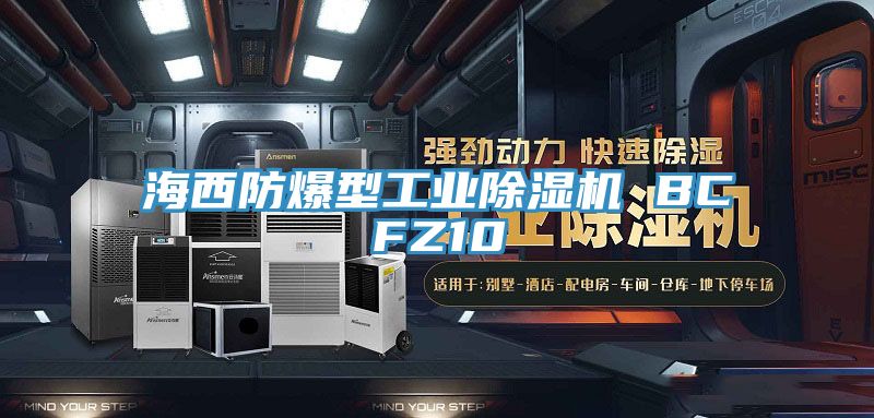 海西防爆型工業91看片软件大全 BCFZ10