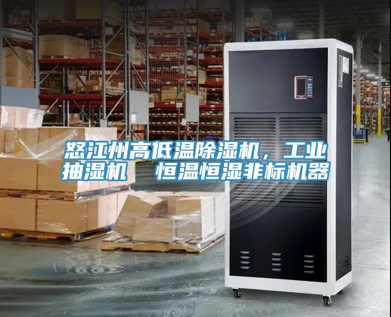 怒江州高低溫91看片软件大全，工業抽濕機  恒溫恒濕非標機器