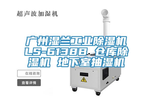 廣州濕蘭工業91看片软件大全LS-6138B 倉庫91看片软件大全 地下室抽濕機