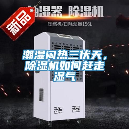 潮濕悶熱三伏天，91看片软件大全如何趕走濕氣