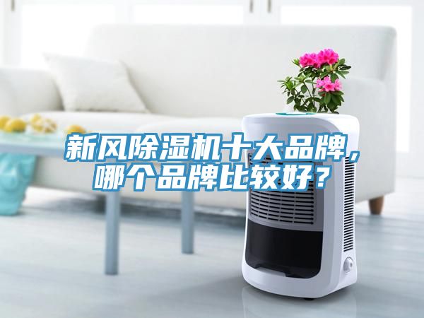 新風91看片软件大全十大品牌，哪個品牌比較好？