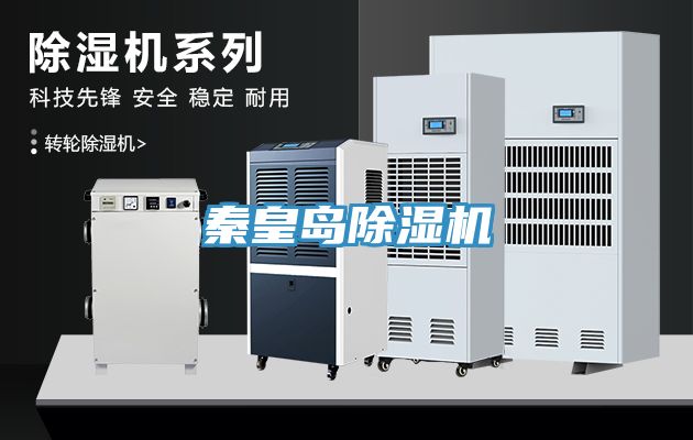秦皇島91看片软件大全