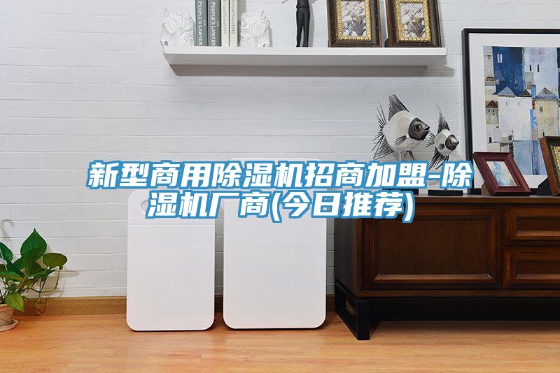 新型商用91看片软件大全招商加盟-91看片软件大全廠商(今日推薦)