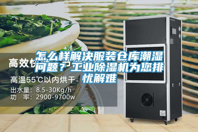 怎麽樣解決服裝倉庫潮濕問題？工業91看片软件大全為您排憂解難