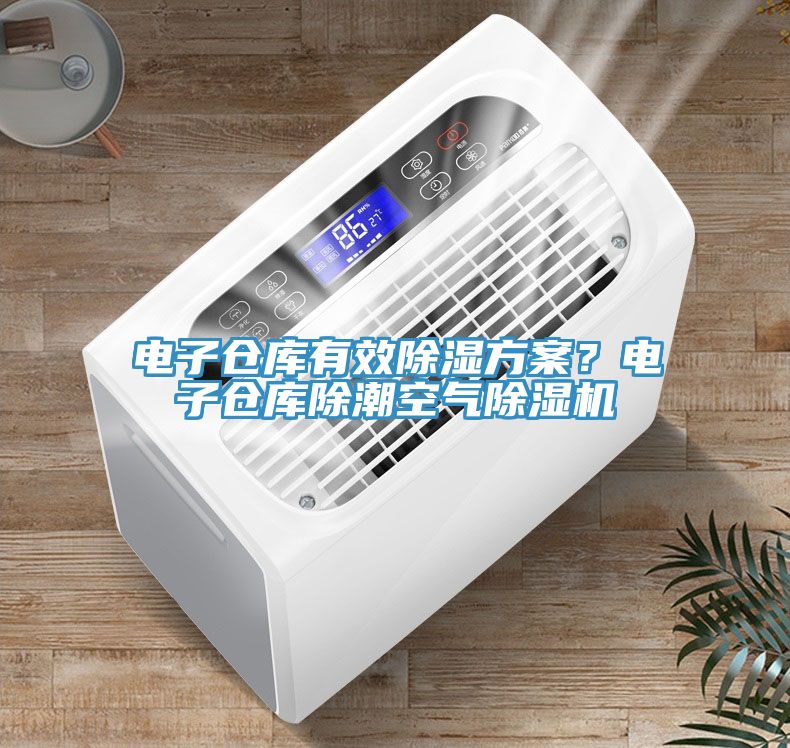 電子倉庫有效除濕方案？電子倉庫除潮空氣91看片软件大全
