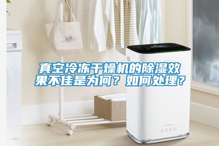真空冷凍幹燥機的除濕效果不佳是為何？如何處理？