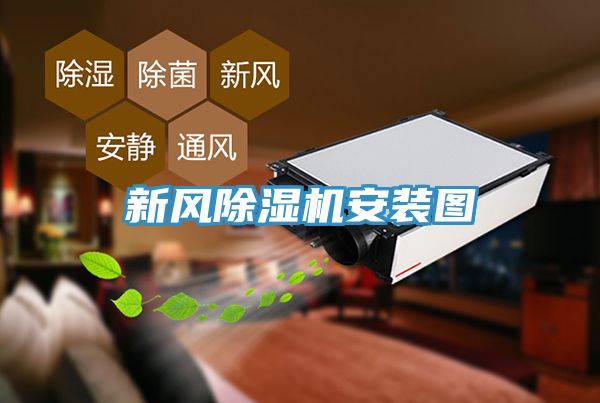 新風91看片软件大全安裝圖