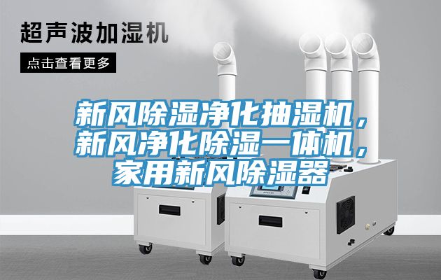 新風除濕淨化抽濕機，新風淨化除濕一體機，家用新風除濕器