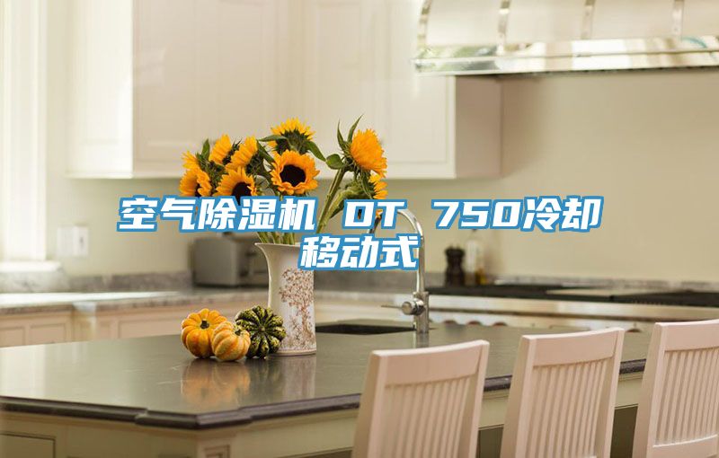 空氣91看片软件大全 DT 750冷卻移動式