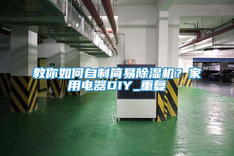 教你如何自製簡易91看片软件大全？家用電器DIY_重複